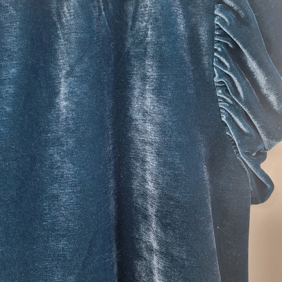 Free People Teresa Velour Green Velvet Ruffle Boho Blouse Womens Size Medium - Picture 9 of 10